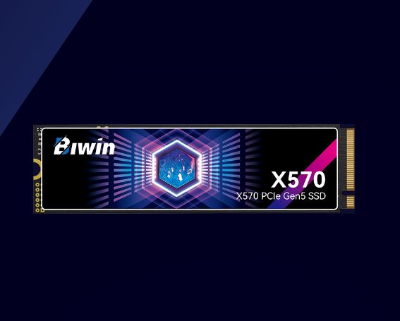 BIWIN BX570NN04TB-RGX Black Opal X570 SSD PCIe Gen54, NVMe 2 2280 Up to 14500 10000 MB s