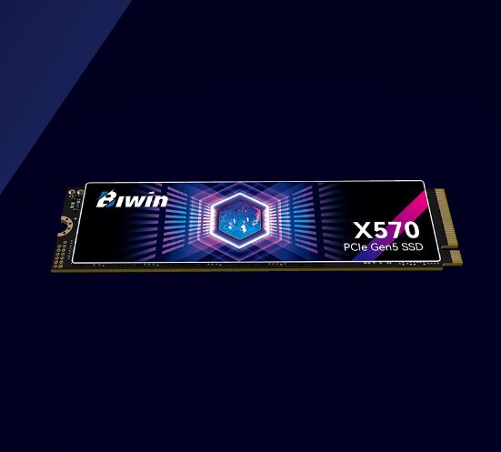 BIWIN BX570NN02TB-RGX Black Opal X570 SSD PCIe Gen54, NVMe 2  2280 Up to 14500 10000 MB s