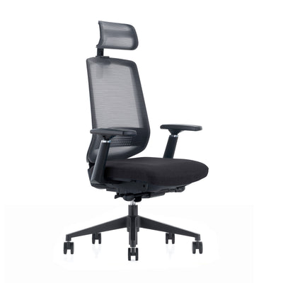 LDR ErgoLite Ultra ChairPremium ergonomic office chair with 3D arms,seat slider,lumbar support,5 lock backrest  synchro tilt.Executive Styling,Black