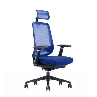 LDR ErgoLite Ultra ChairPremium ergonomic office chair with 3D arms,seat slider,lumbar support,5 lock backrest  synchro tilt.Executive Styling,Blue